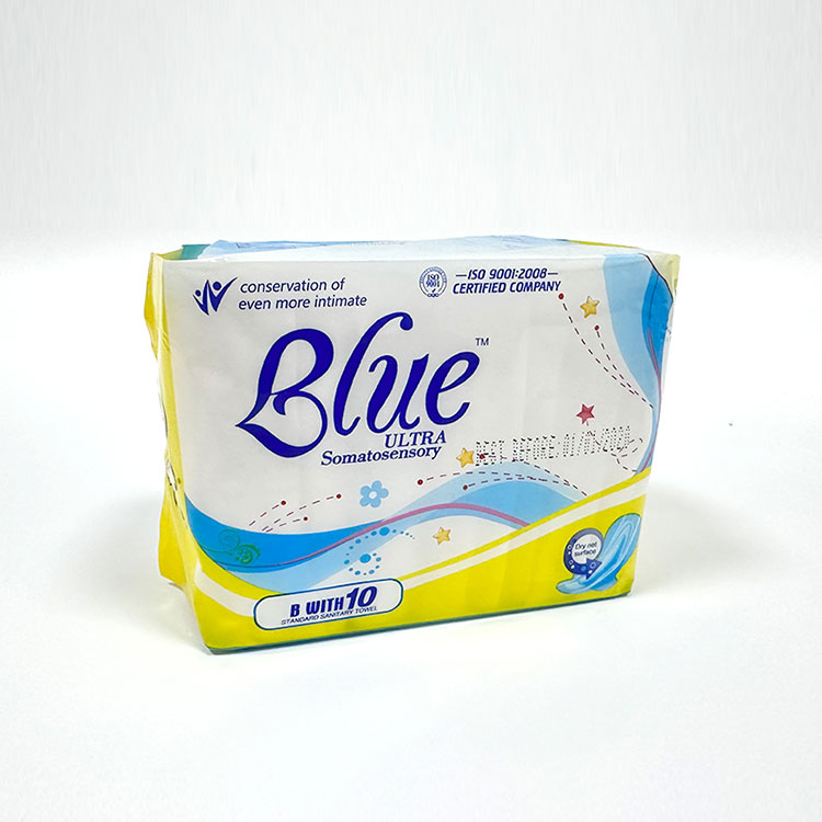 How to Choose the Right Regular Sanitary Napkins for Comfort and Protection?