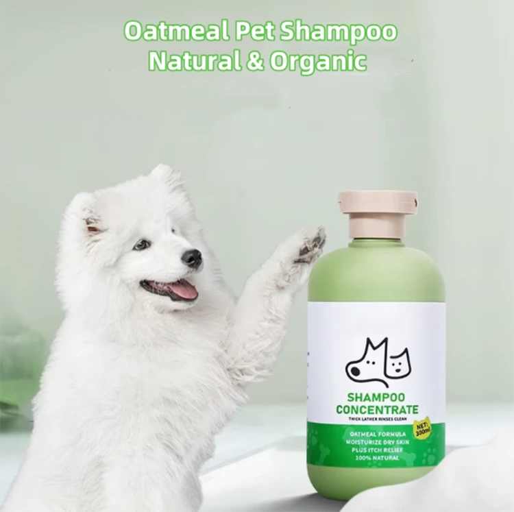 How Does Oatmeal Shampoo Help Relieve Your Pet's Itchy and Dry Skin