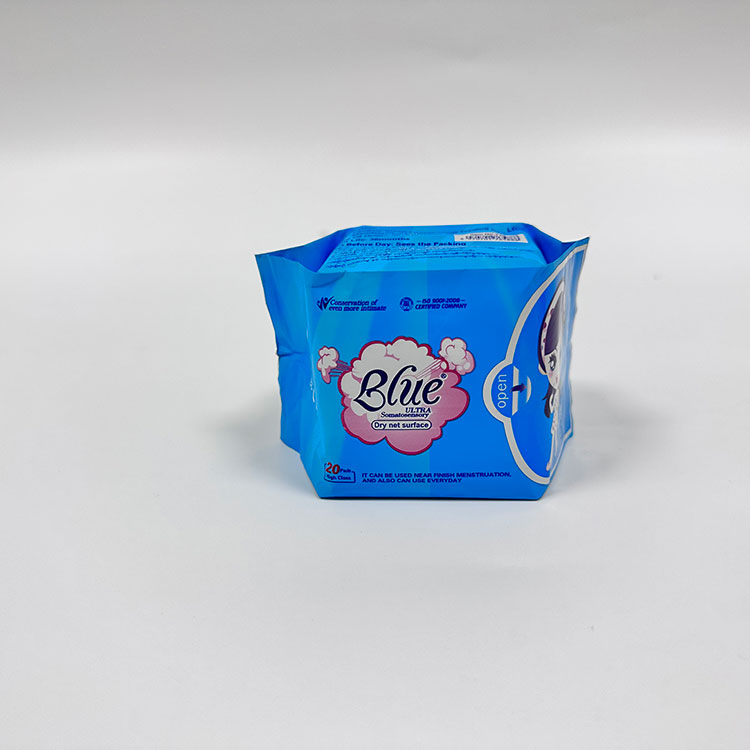 Are Biodegradable Menstrual Products Really Better for the Environment Than Traditional Pads and Tampons