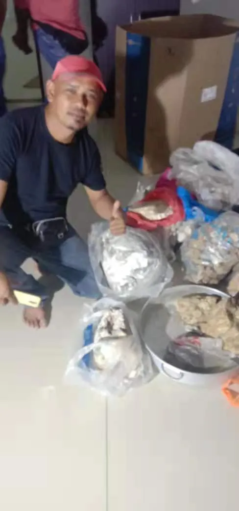 Ambergris Whale Vomit / Ambergris Wholesale Dealer Cheap Price Ambergris - Whale Vomit