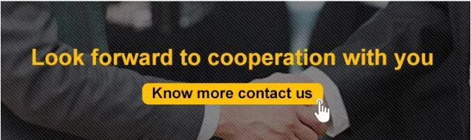 Customize Glass Dropper Perfume Bottle