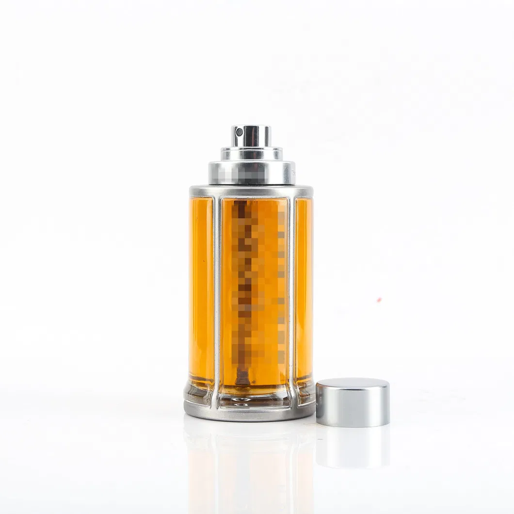 Factory Price New Design 1: 1 Famous Perfume for Men