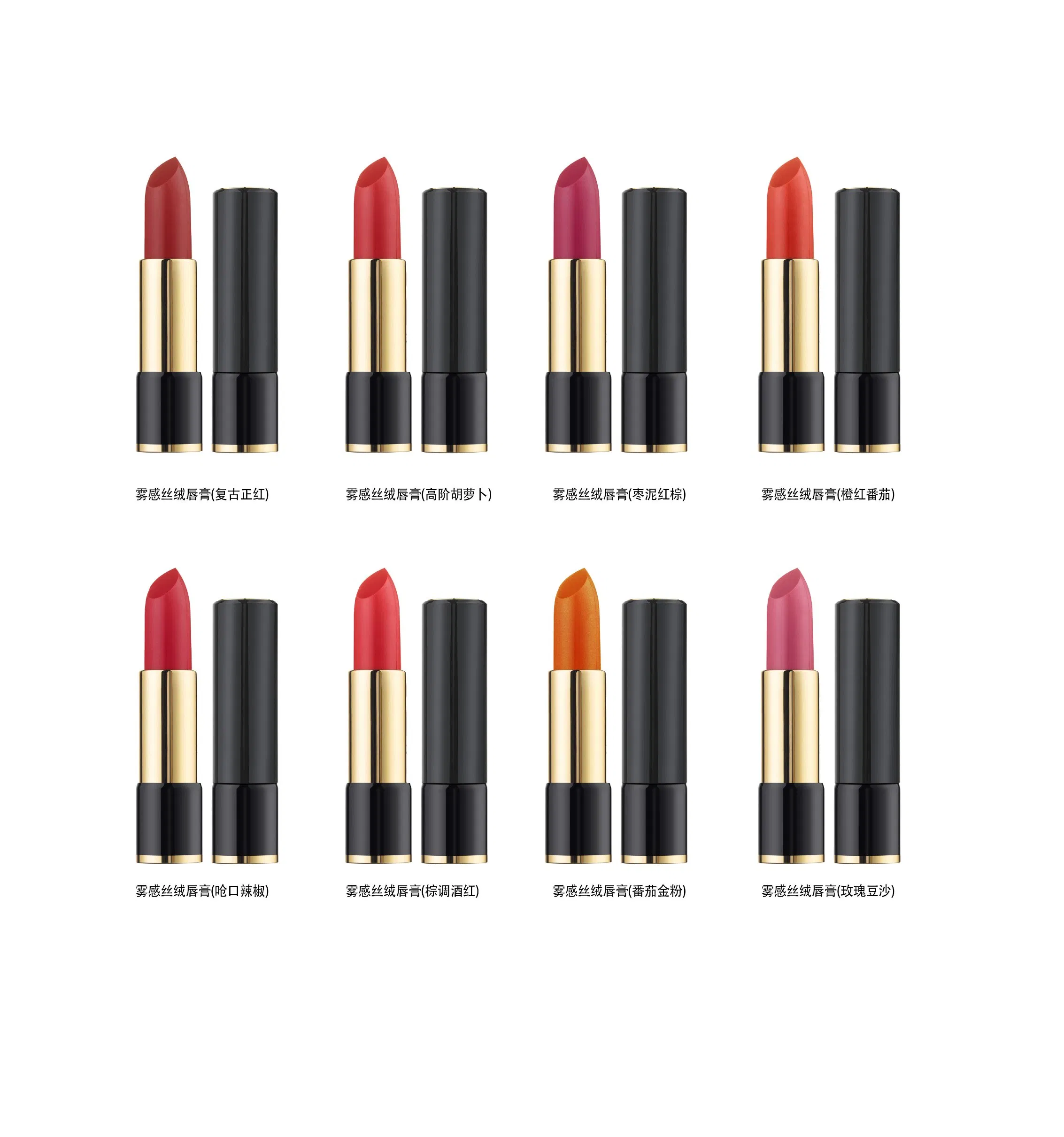 GMPC Factory OEM New Misty Silky and Moisturizing Lipstick Skin Care Beauty Care Cosmetic