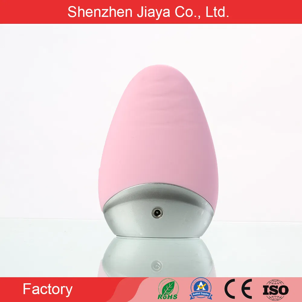 Waterproof Electric Skin Care Silicone Facial Sonic Cleansing Brush Deeply Face Pore Cleansing Brush